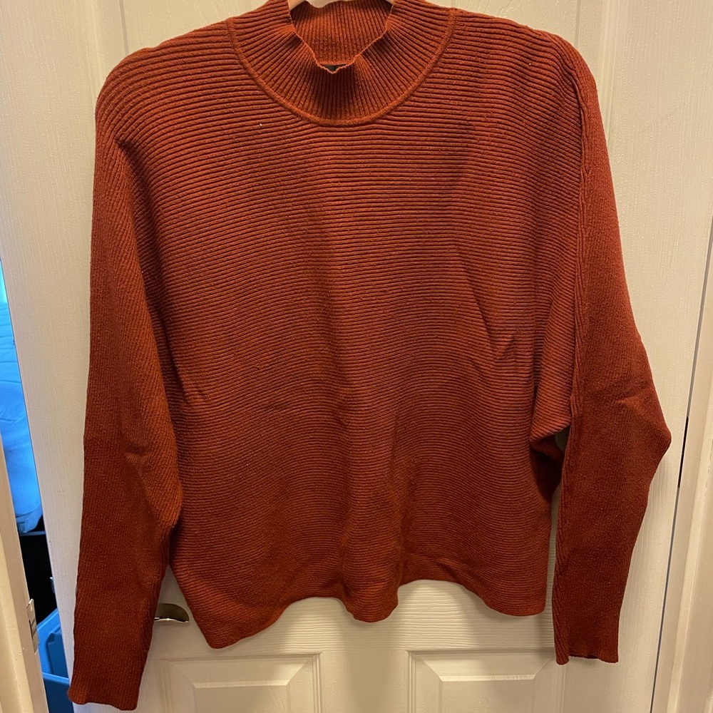 Rust Mock Neck Sweater